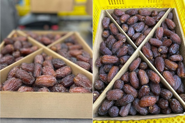 Egyptian Medjool Large 1kg