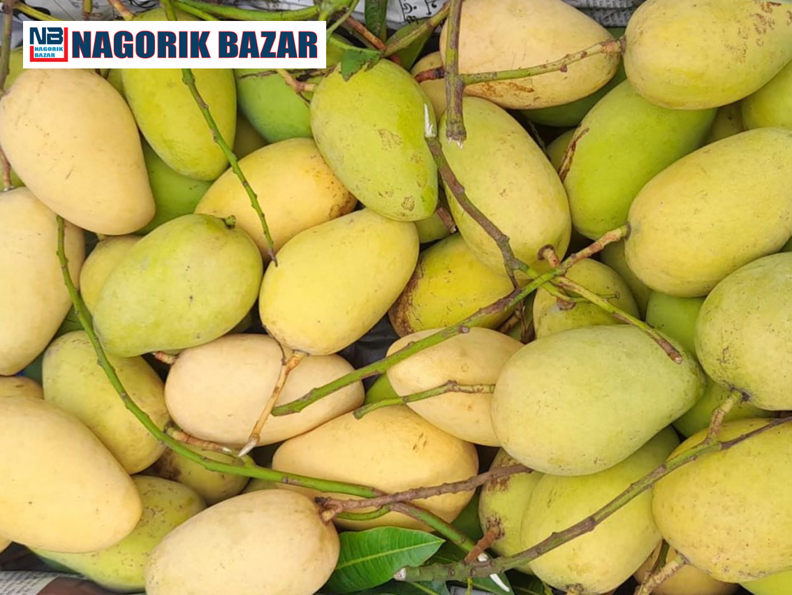 কাটিমন আম